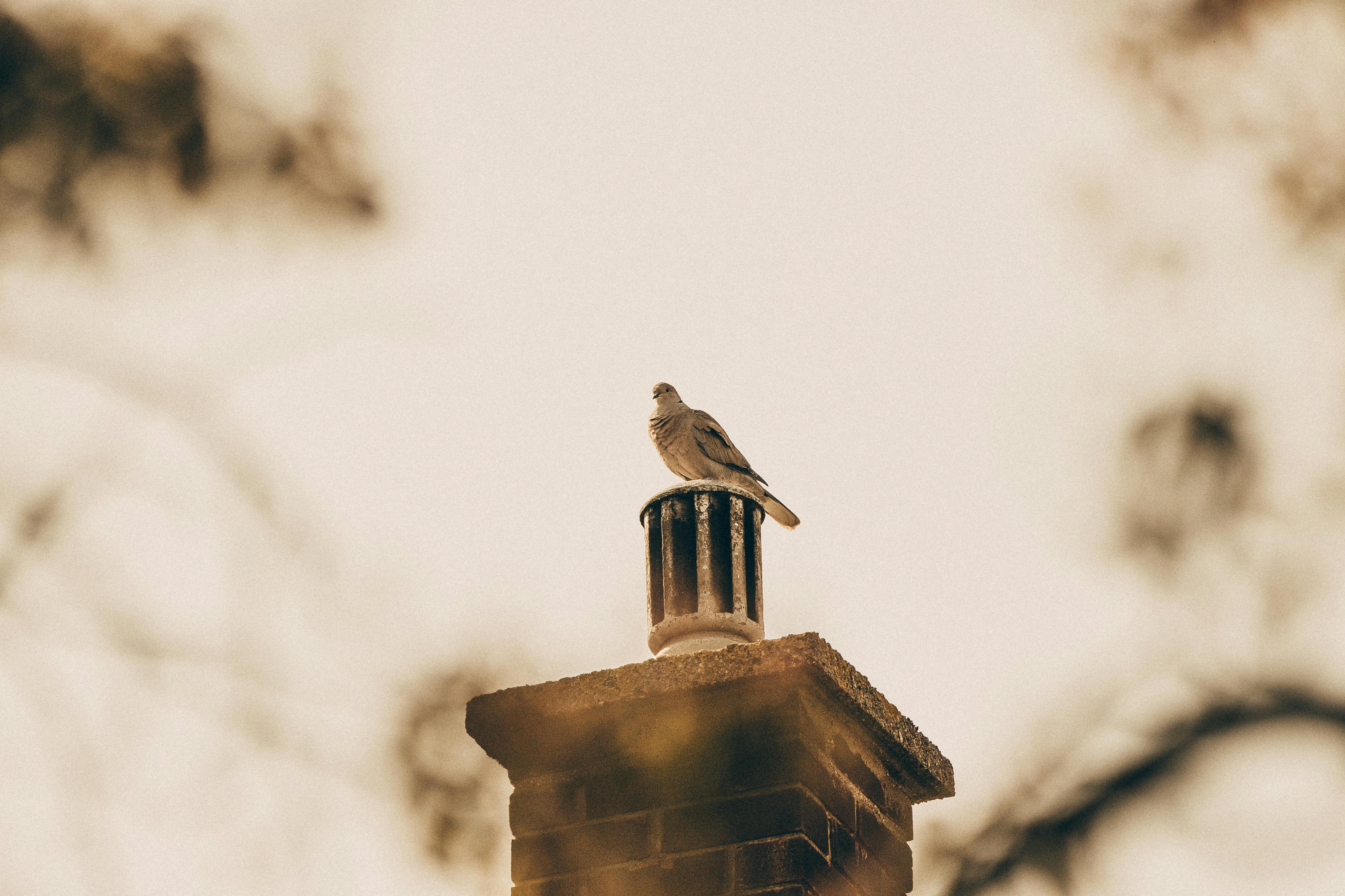 Expert Chimney Cap Installation in Cerritos, California